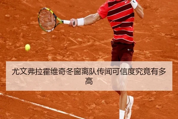 尤文弗拉霍维奇冬窗离队传闻可信度究竟有多高